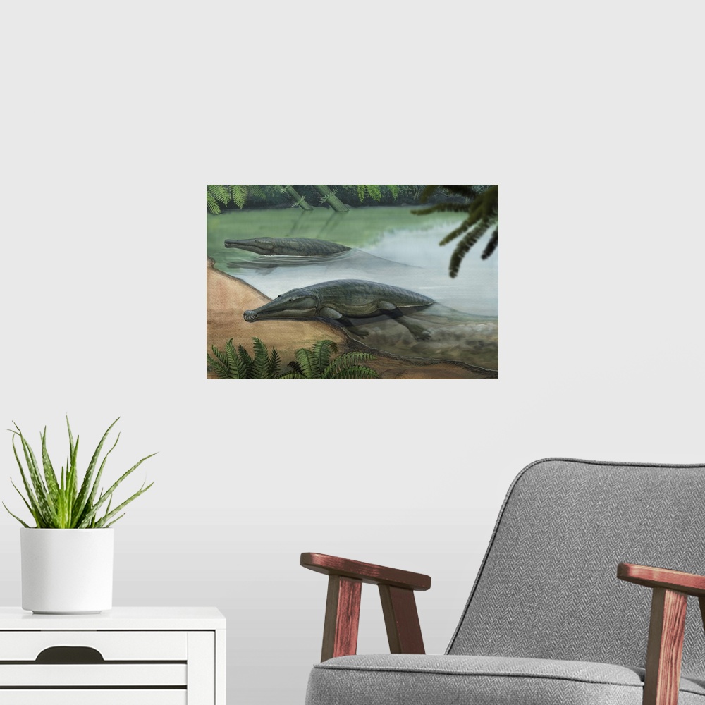 A modern room featuring Two prehistoric Platyoposaurus stuckenbergi swim ashore.