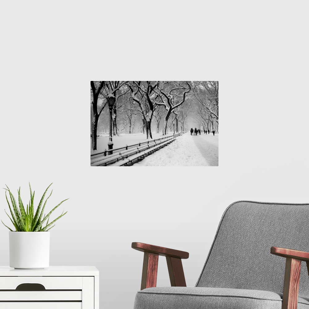 A modern room featuring People walking along a snow-covered walkway under the trees in Central Park, New York.
