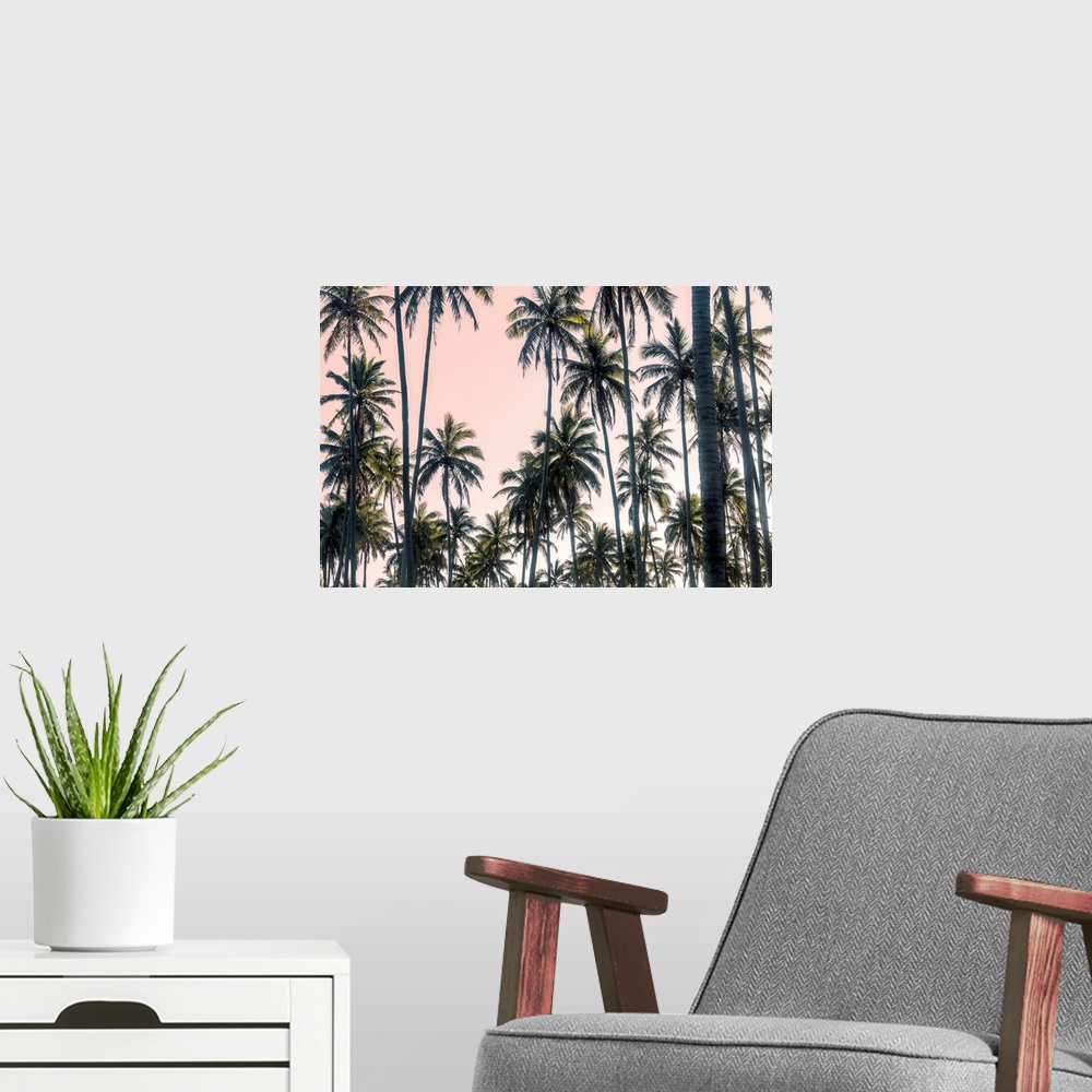A modern room featuring Palms View On Pink Sky II