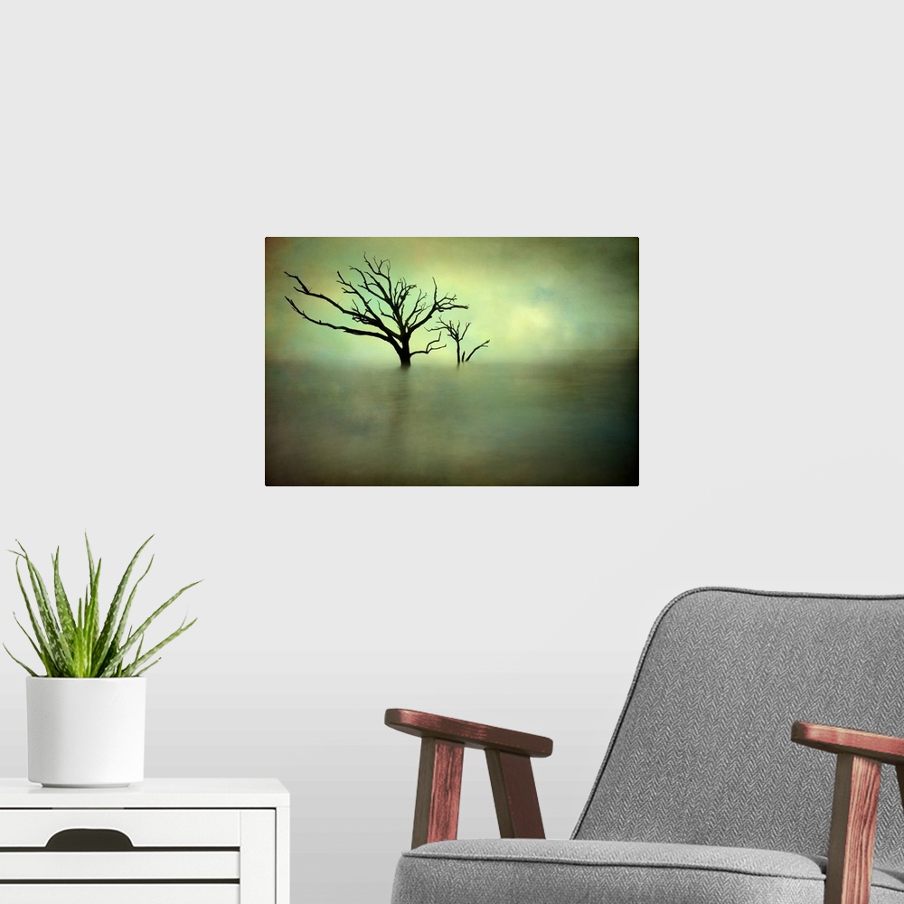 A modern room featuring Two bare trees growing out of the ocean off the South Carolina coast, with a green hue.