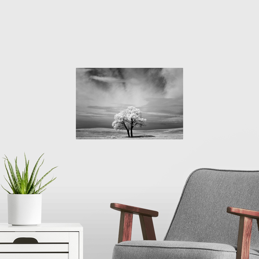 A modern room featuring Infrared image of a tree under a cloudy sky in the Badlands, South Dakota.