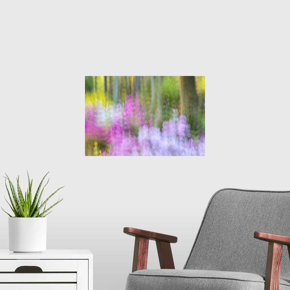 A modern room featuring Blurred motion image of bright pink and lavender flowers blossoming in Charleston, South Carolina.