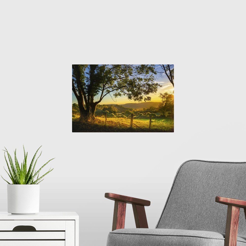 A modern room featuring The South Downs in West Sussex at dusk with yellow light cast across farm fields with ancient hed...
