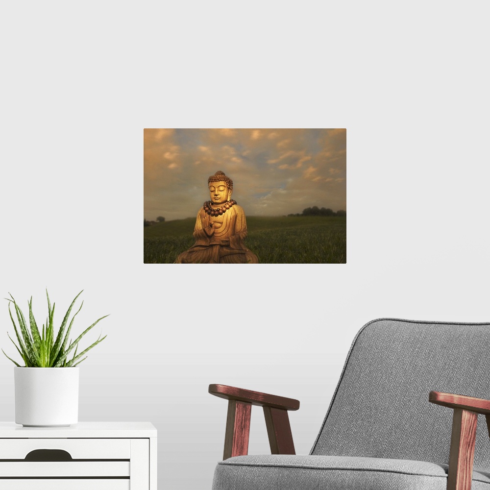 A modern room featuring A bhudda in a field