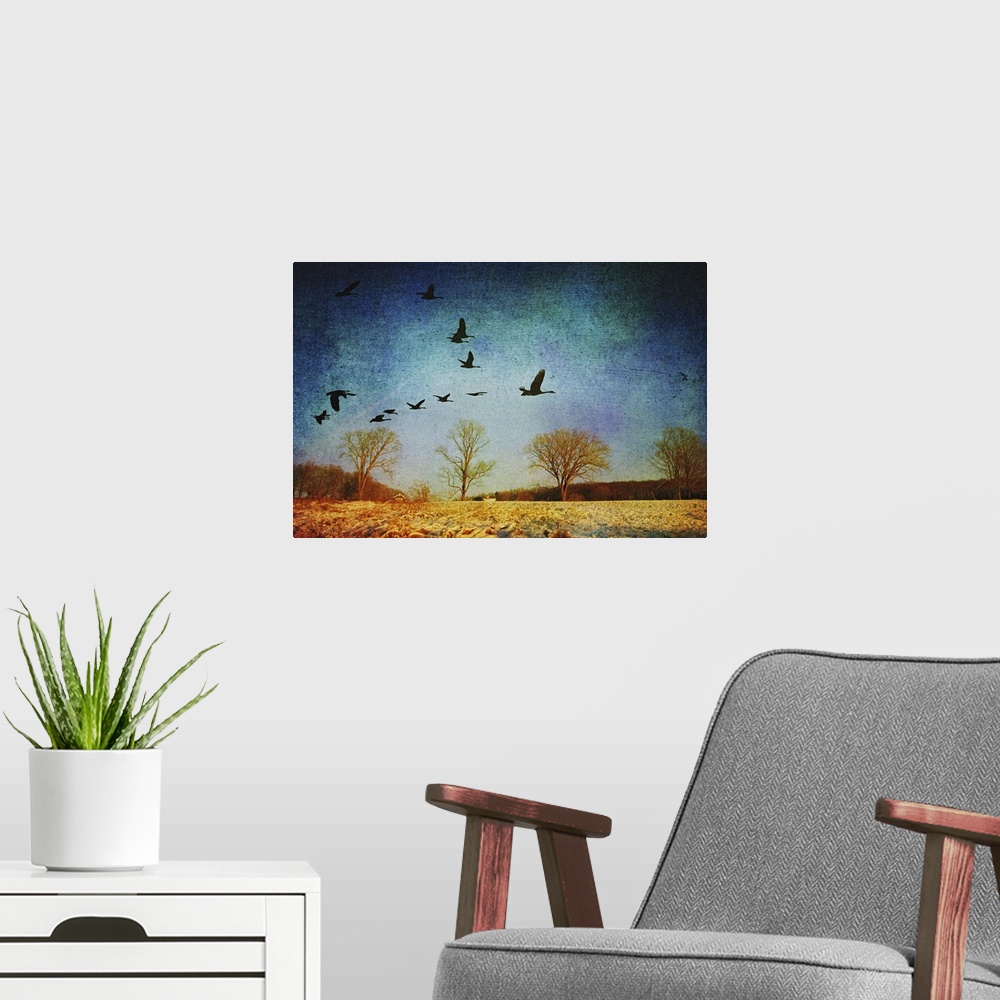 A modern room featuring Canadian Geese flying over wintry Connecticut landscape.