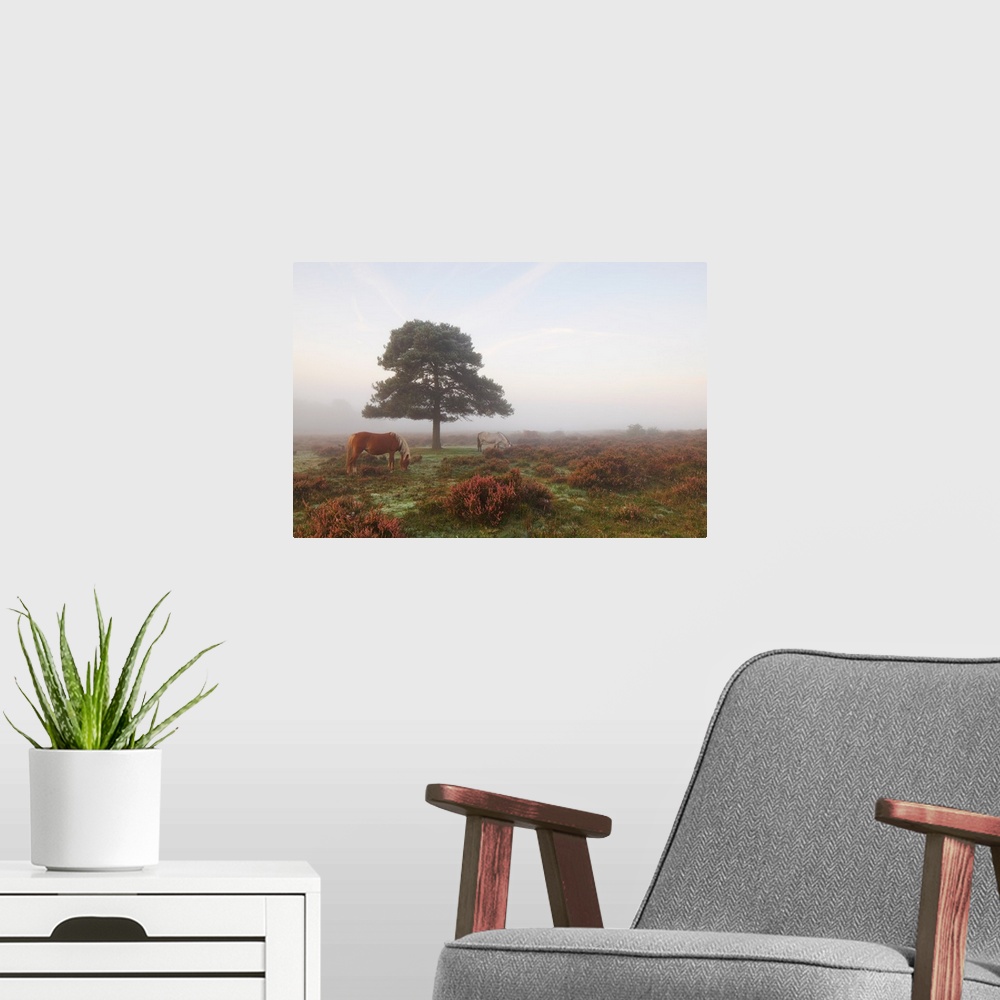 A modern room featuring Tree and horse in mist at dawn