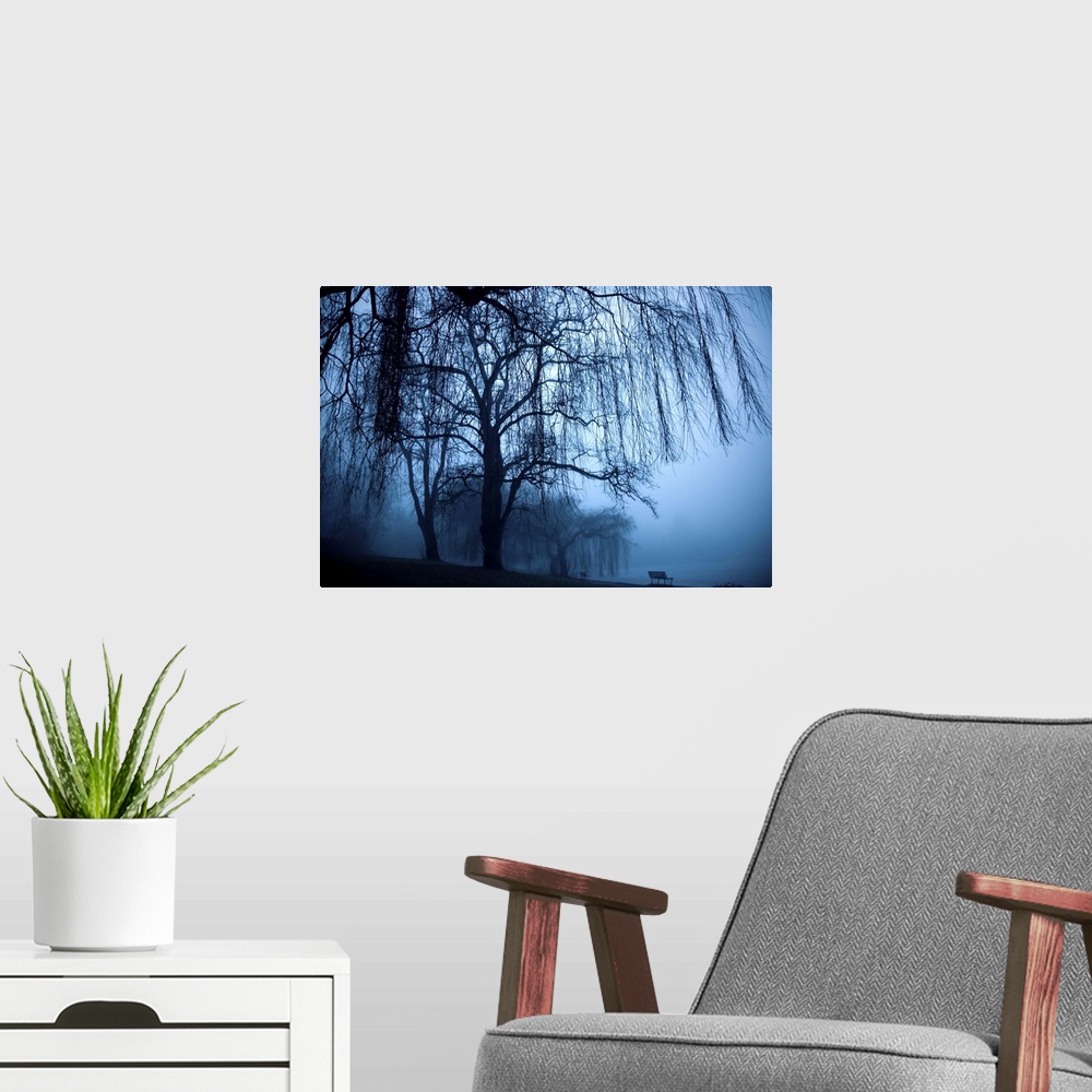 A modern room featuring Two benched and weeping willow trees in the fog at Lost Lagoon.