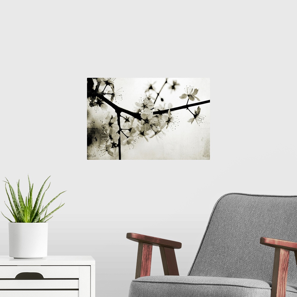 A modern room featuring White flowers on a tree. Texture added in photoshop.