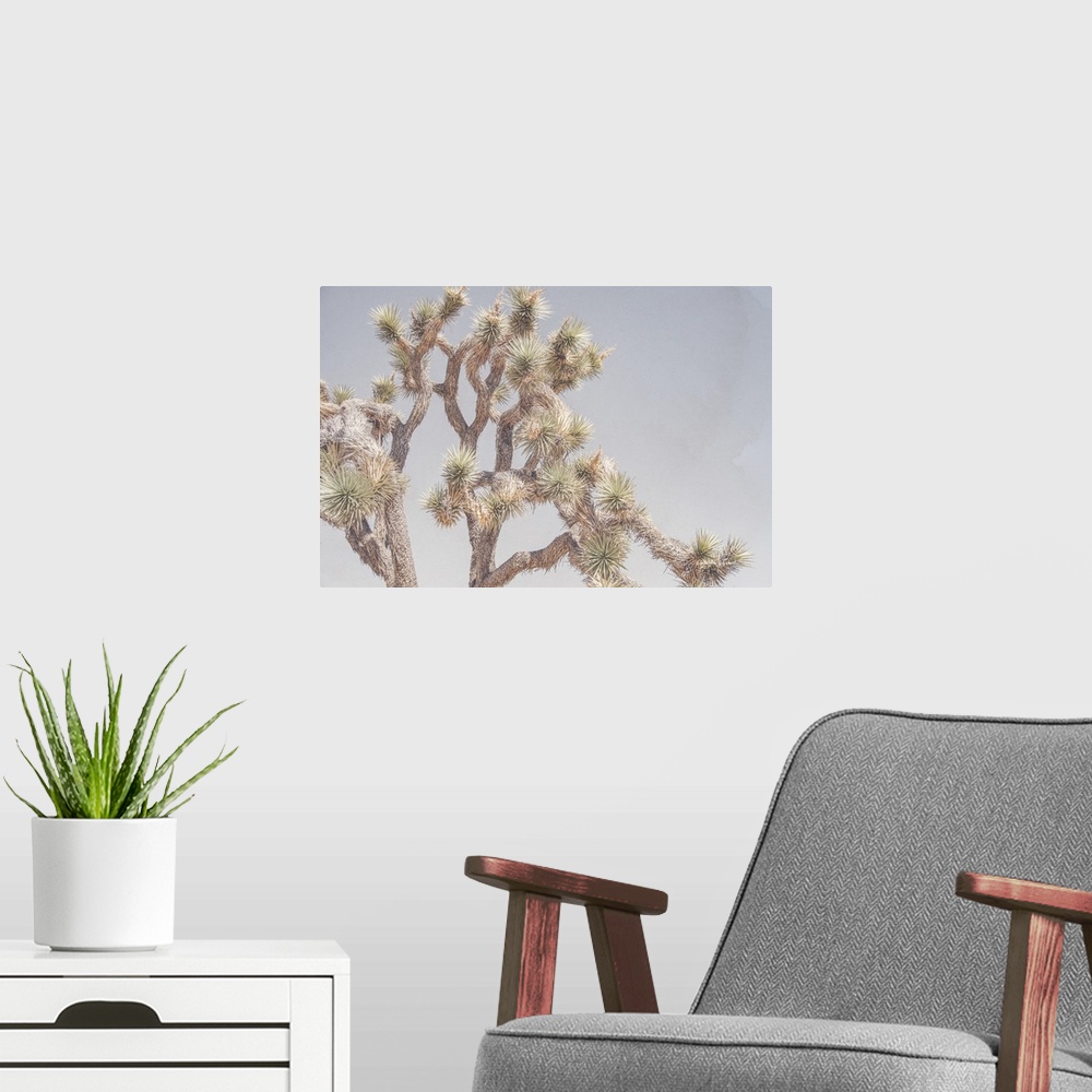 A modern room featuring Desert Floral I