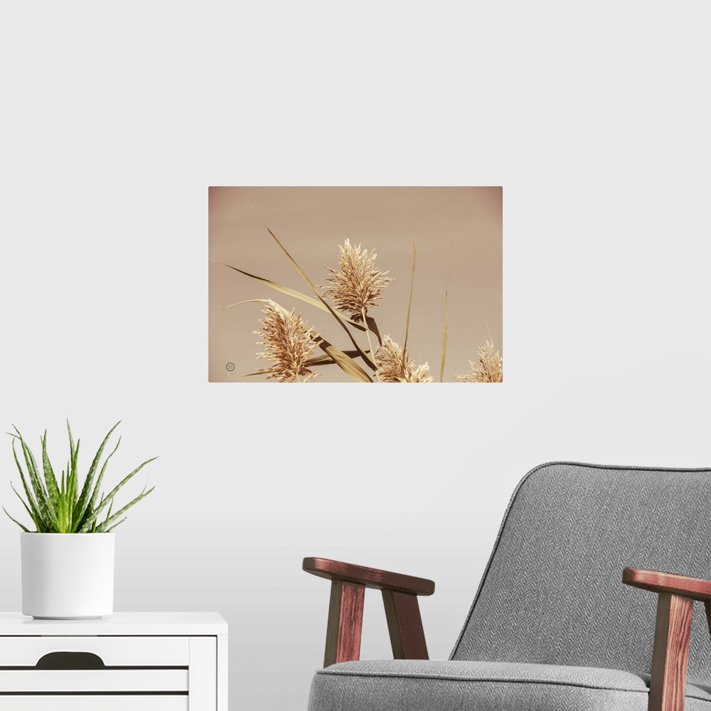 A modern room featuring Noon Grasses III