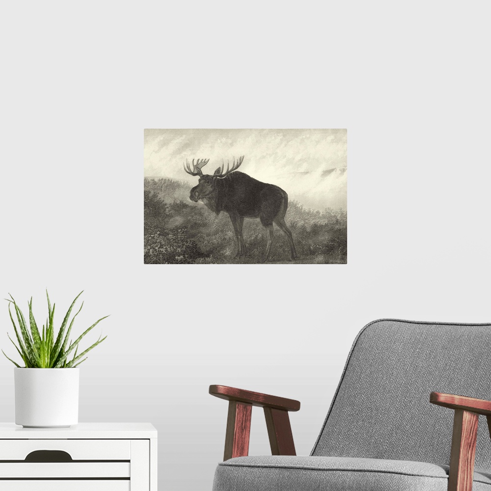 A modern room featuring American Moose