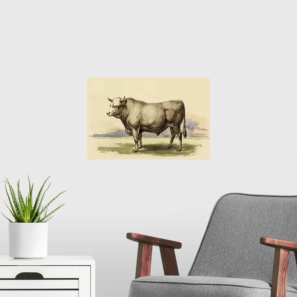 A modern room featuring Antique Cow I
