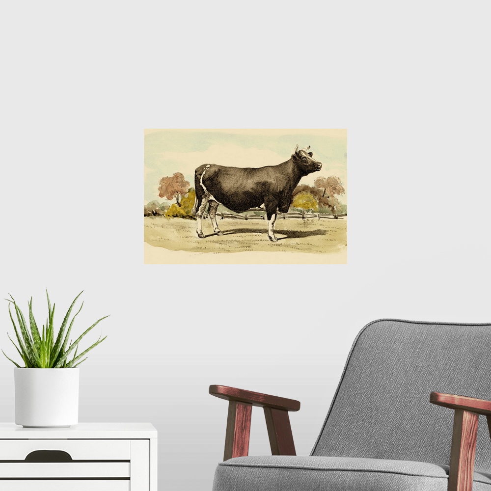 A modern room featuring Antique Cow VI