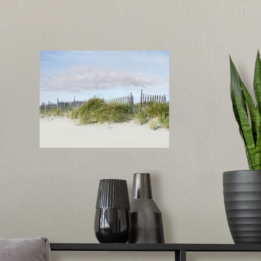 A modern room featuring Photograph of a relaxing beachscape with the wind blowing.