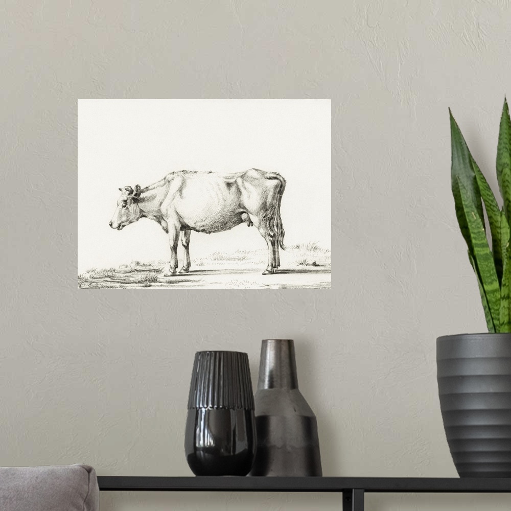 A modern room featuring Bernard Cow Sketch II