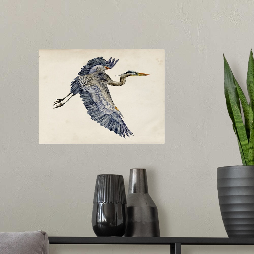 A modern room featuring Illustration of a Great Blue Heron in flight on a parchment background.