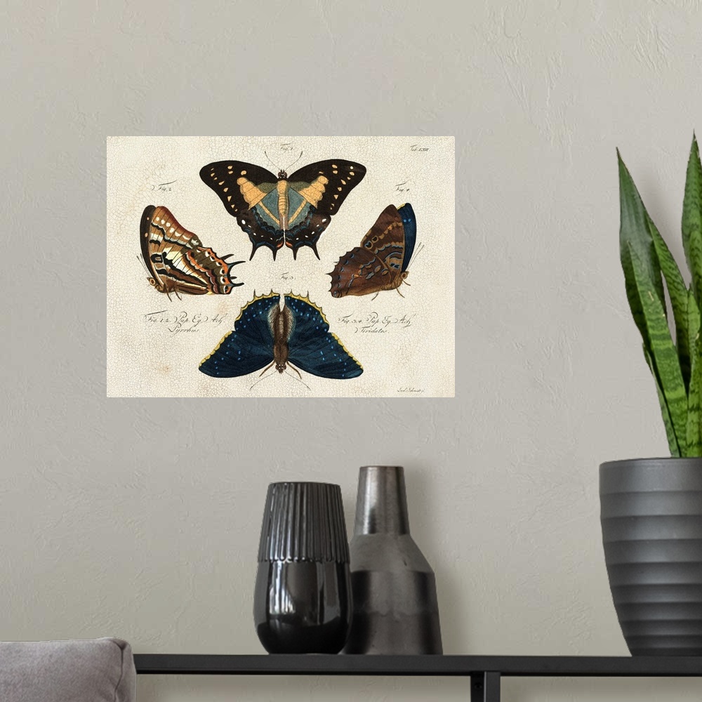 A modern room featuring Crackled Butterflies IV