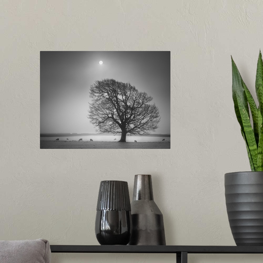 A modern room featuring A black and white photograph of a lone tree standing in a field with the moon hanging in a foggy ...
