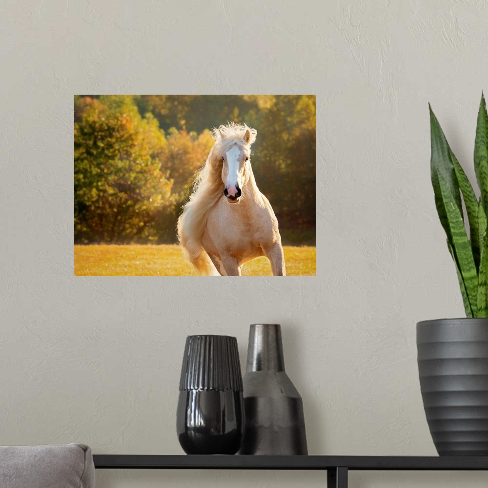 A modern room featuring Golden Lit Horse IV
