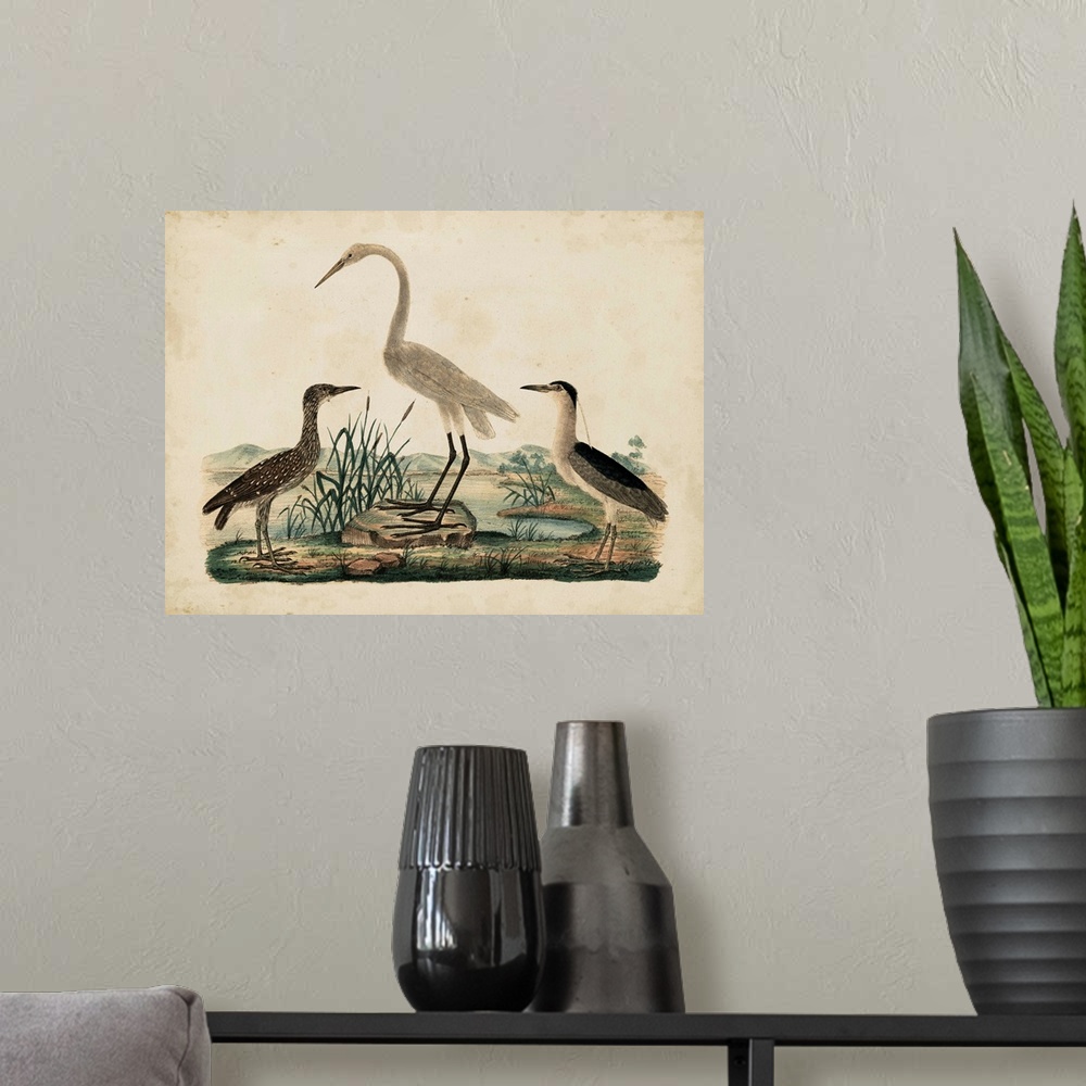 A modern room featuring Contemporary artwork of a vintage stylized scientific illustration of birds.
