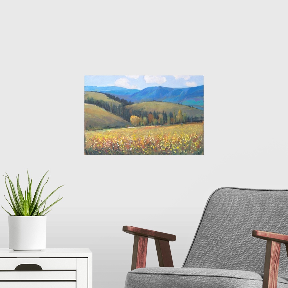 A modern room featuring Mountain Pass I