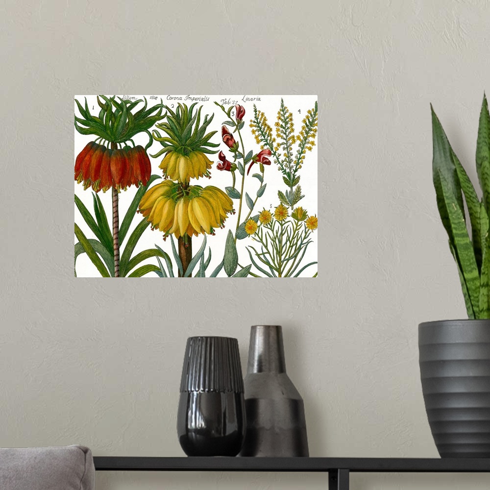 A modern room featuring Printed Arena Botanical I