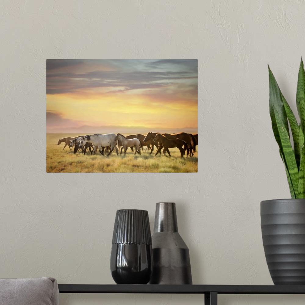 A modern room featuring Sunkissed Horses I