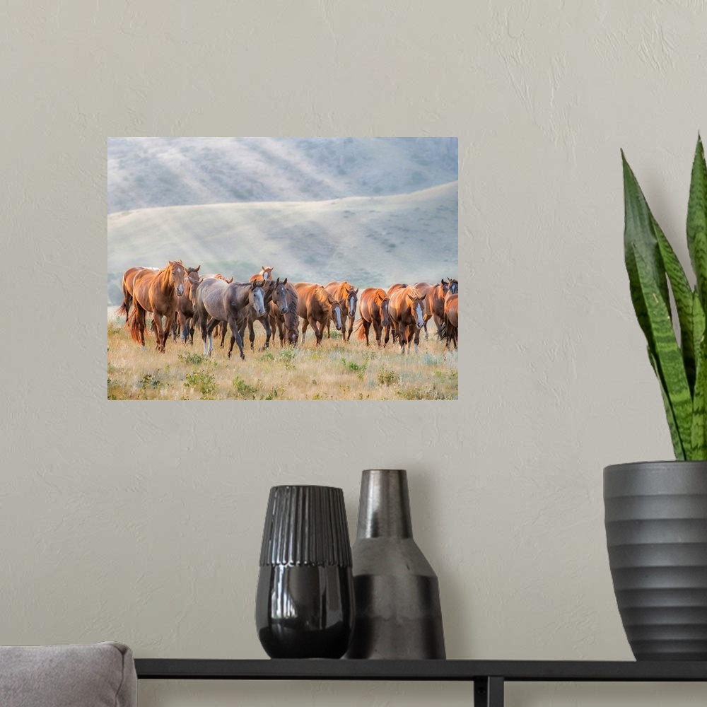 A modern room featuring Sunkissed Horses III