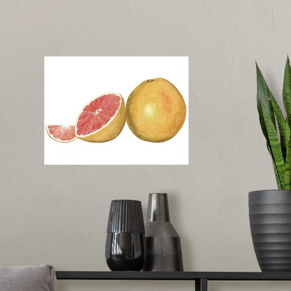 A modern room featuring Watercolor painting of a whole and halved grapefruit against a white background.