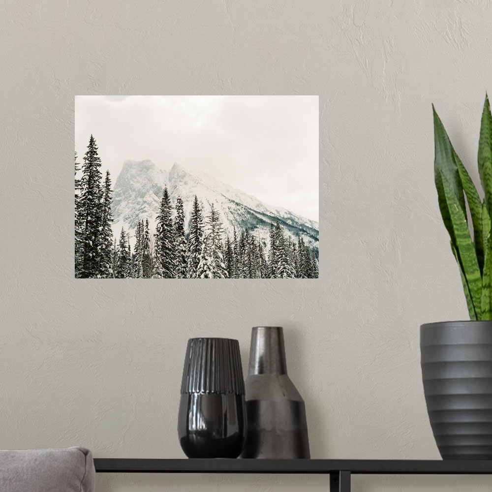 A modern room featuring Photograph of snow frosted trees in front of a large mountain, Lake Louise, Canada