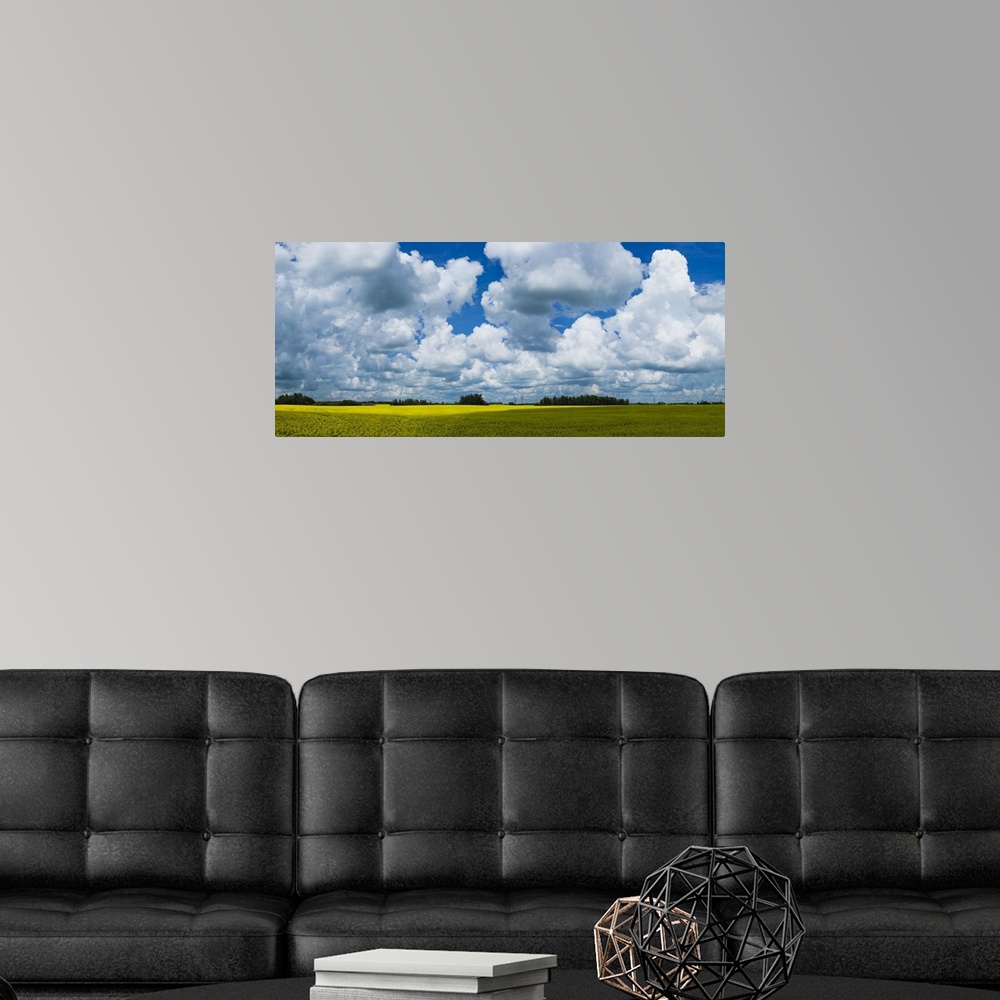 A modern room featuring A canola field under a cloudy filled with shadows of the clouds cast on the field, painting effec...