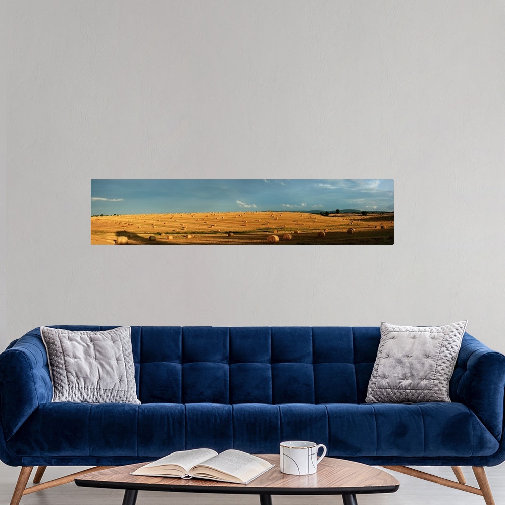 A modern room featuring County Cork, Ireland, Hay Bales After The Harvest Near Mallow