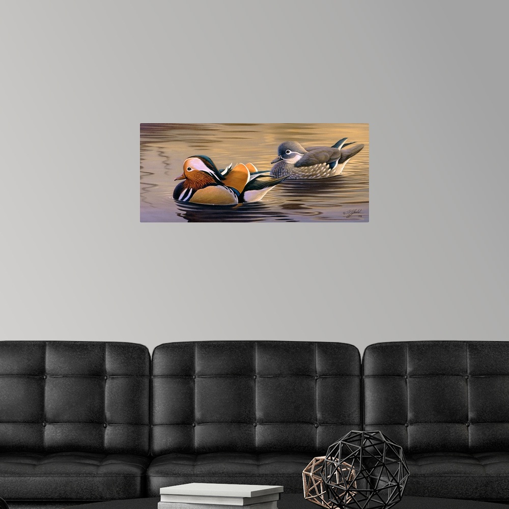 A modern room featuring Two ducks in the water.