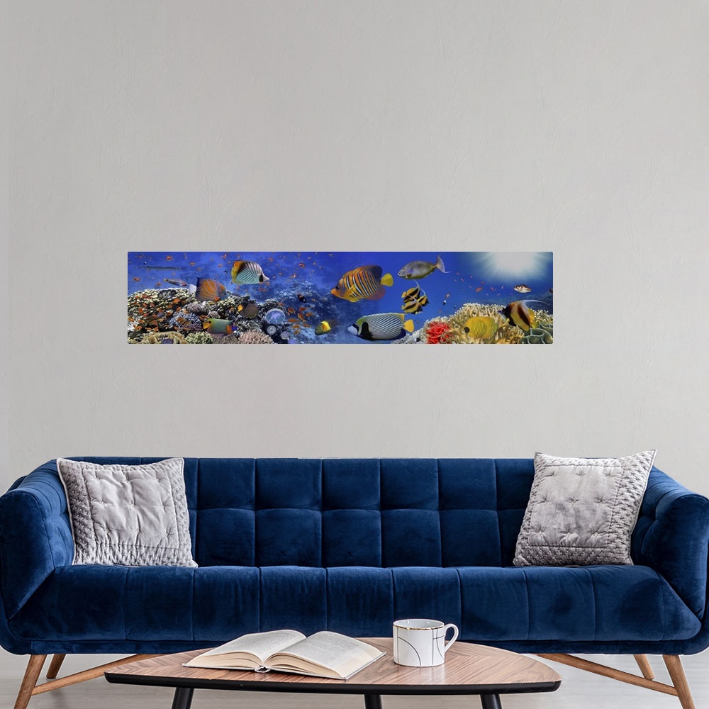 A modern room featuring Sea Corals Panorama