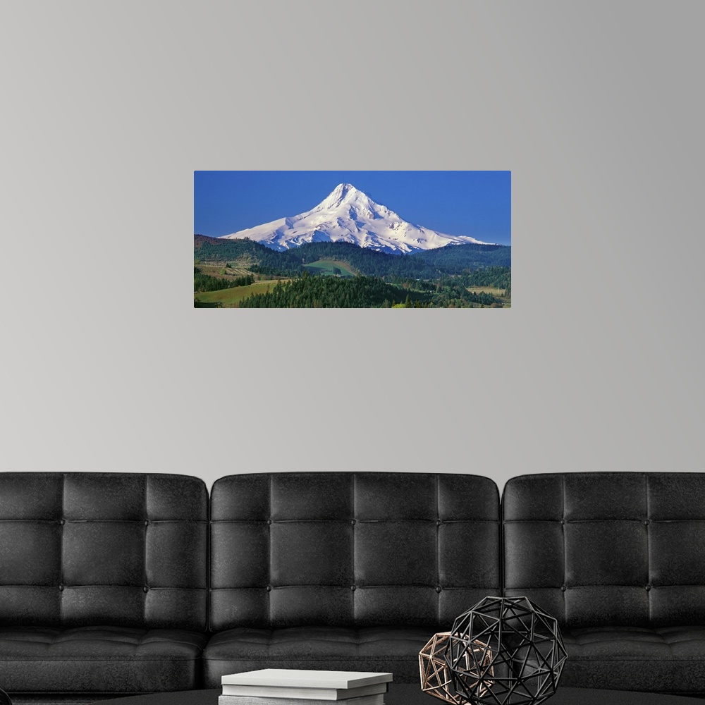 A modern room featuring Panoramic photo of Mount Hood against a blue sky.