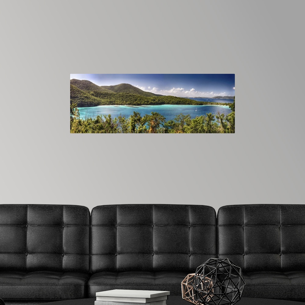 A modern room featuring A photograph of a tropical landscape.