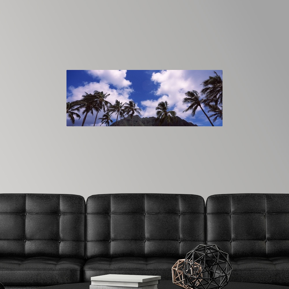 A modern room featuring Palm trees, Koolau Range, Hawaii
