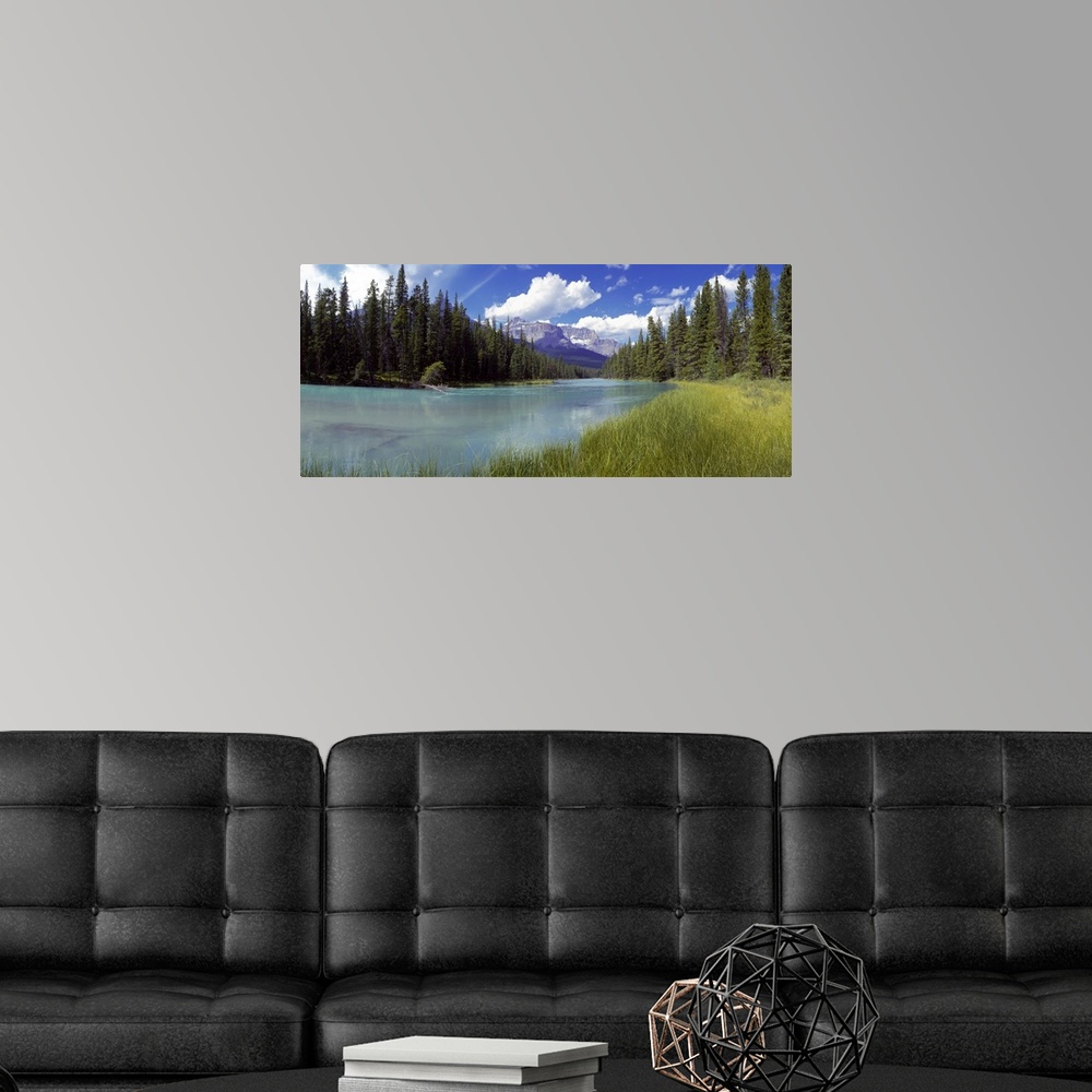 A modern room featuring Pine trees on Athabasca Riverbank with mountains in the background, Canadian Rockies, Jasper Nati...