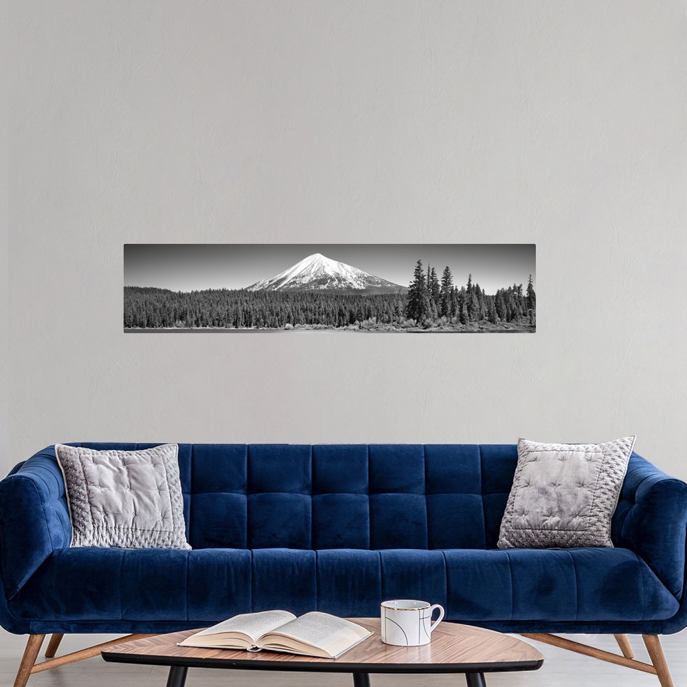 A modern room featuring Trees in front of a snowcapped mountain, Mt McLoughlin, Oregon