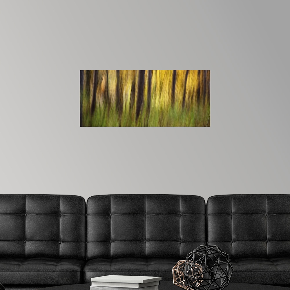 A modern room featuring Fall color with trees blurred