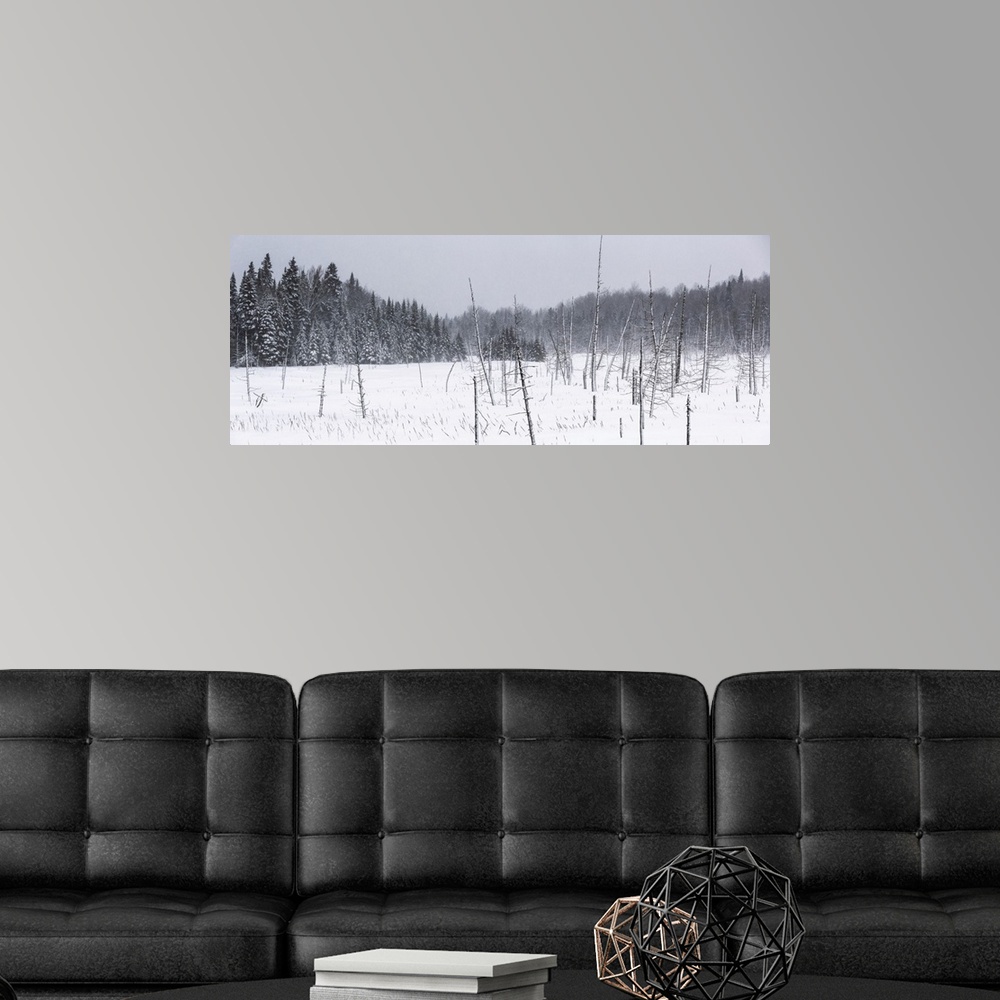 A modern room featuring Field of snow in a forest during a winter storm; Mont Saint Saveur, Quebec, Canada
