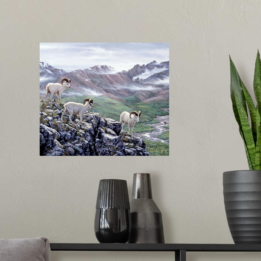 A modern room featuring big horn sheep, mountain rock