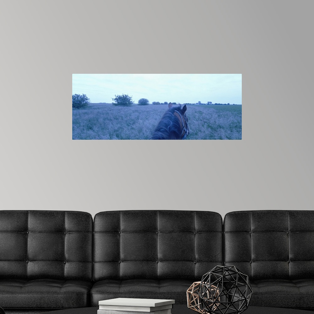 A modern room featuring Horse in a field, Illinois