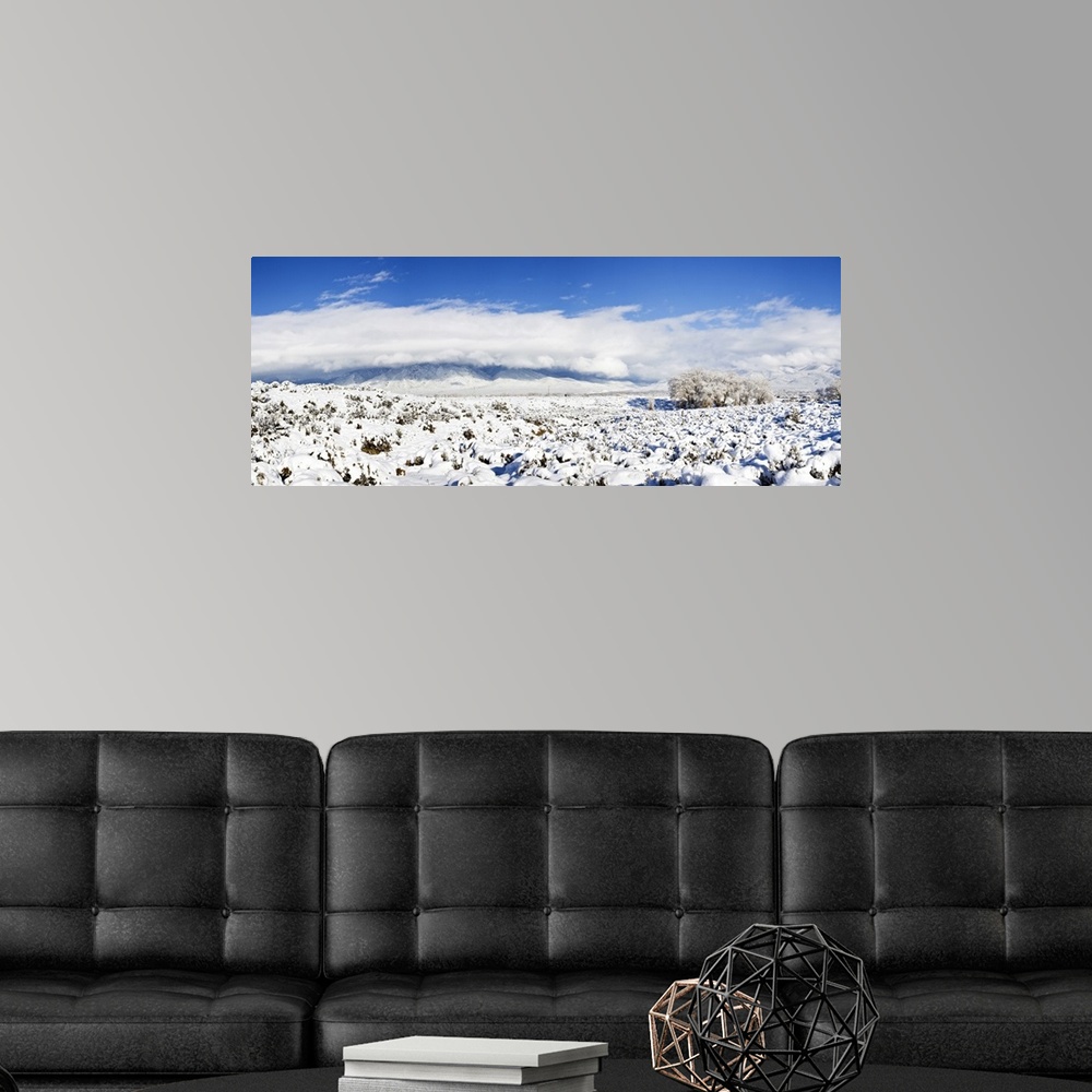 A modern room featuring Sage covered with snow with Taos Mountain in the background, Sangre De Cristo Range, San Luis Val...