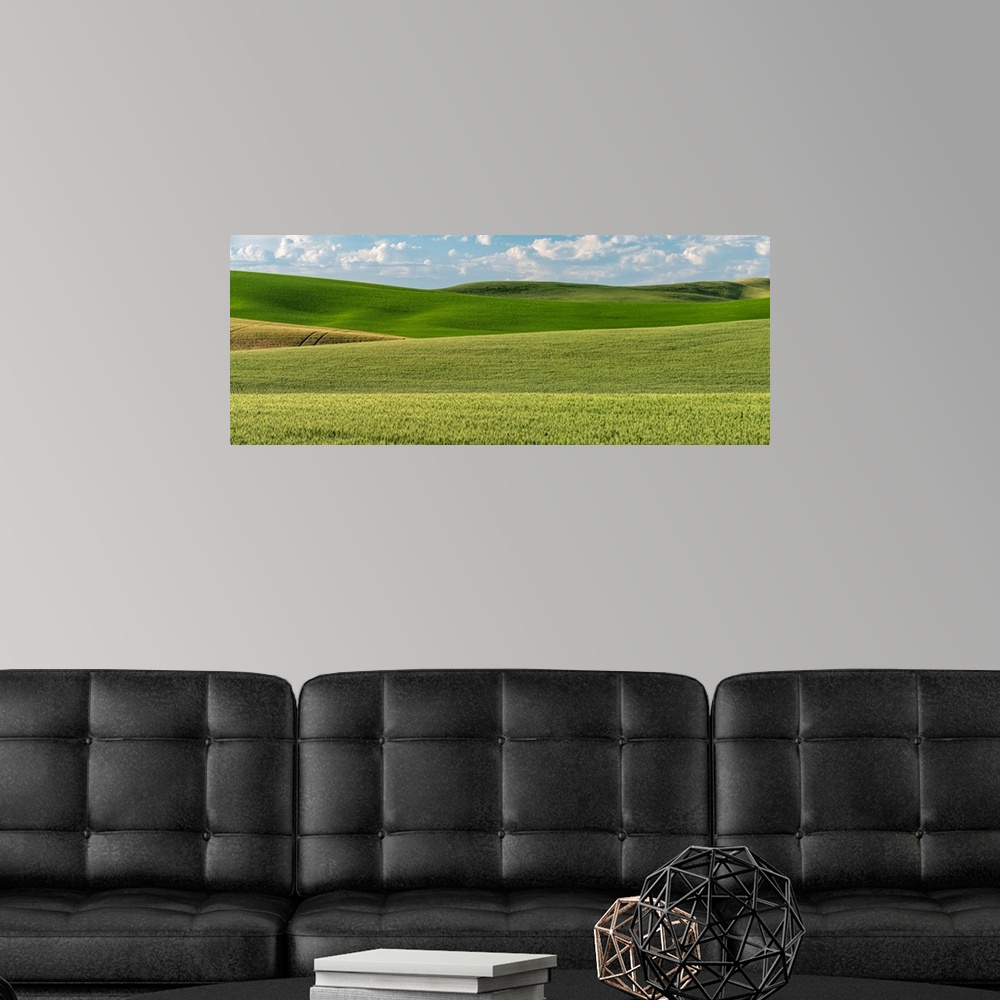 A modern room featuring Farmland Skies