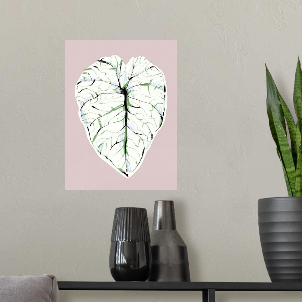 A modern room featuring Alocasia Melo Light