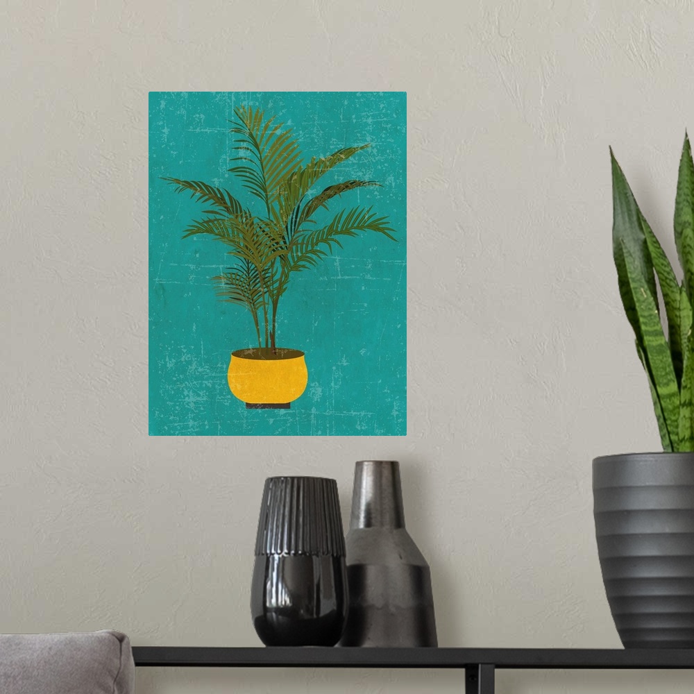 A modern room featuring Areca Plant