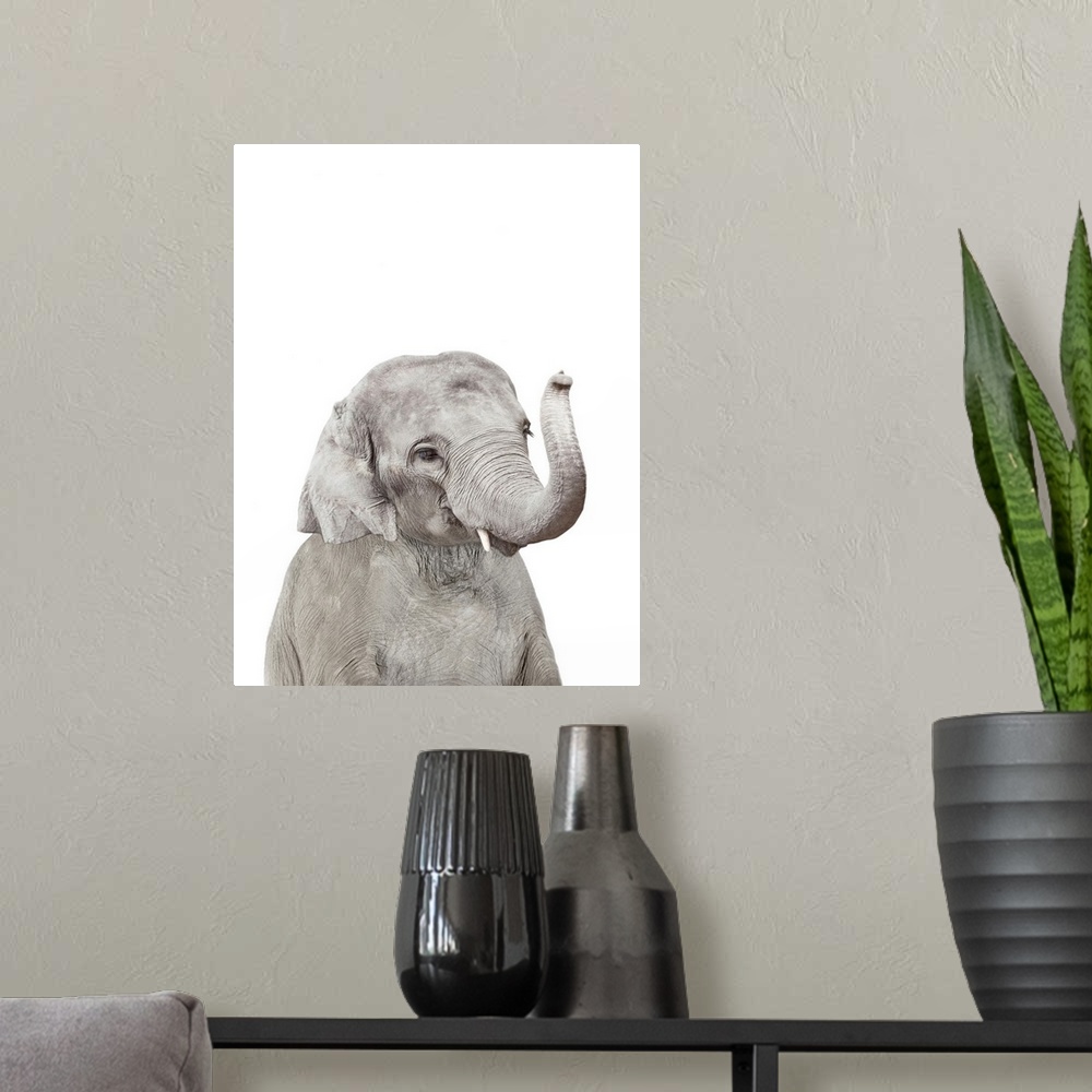 A modern room featuring Baby Elephant
