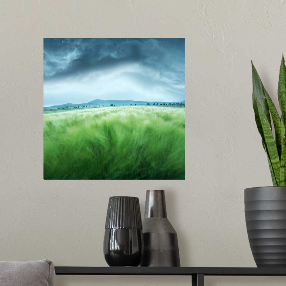 A modern room featuring A barley field blowing in the wind, with dark storm clouds overhead.
