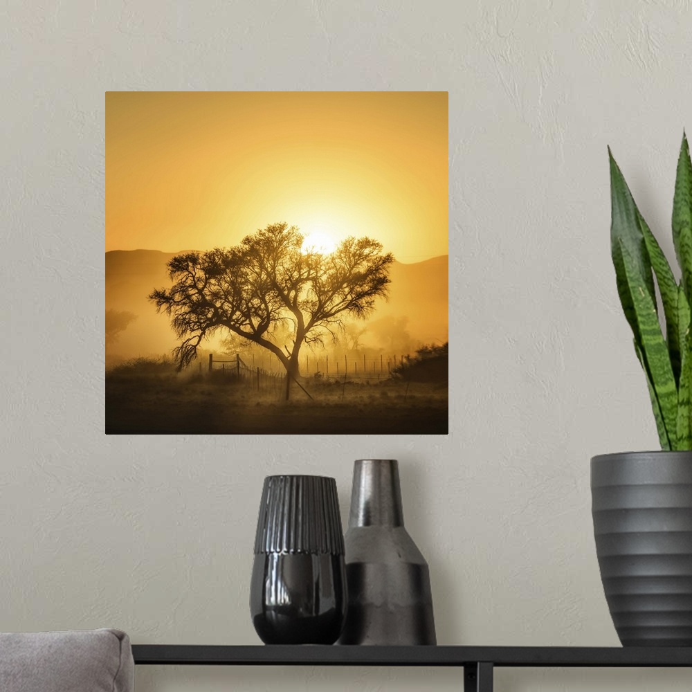 A modern room featuring Countryside sunrise casting a tree in silhouette and laying fog down all over the ground.